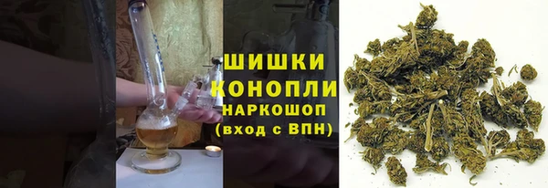 бутират Белокуриха