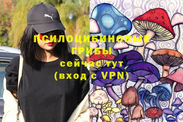 бутират Белокуриха