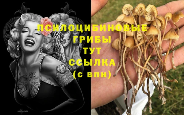 бутират Белокуриха